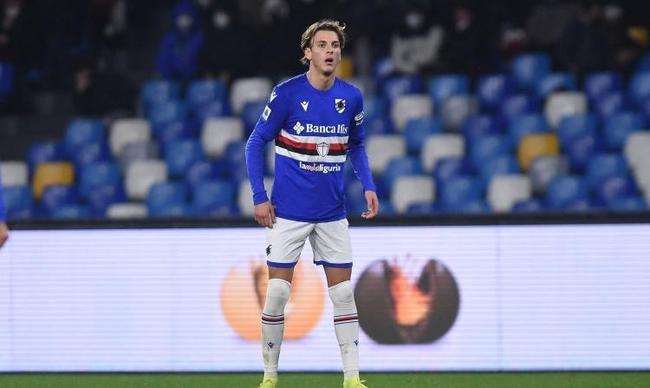 仅赢得了球 仅赢得了球