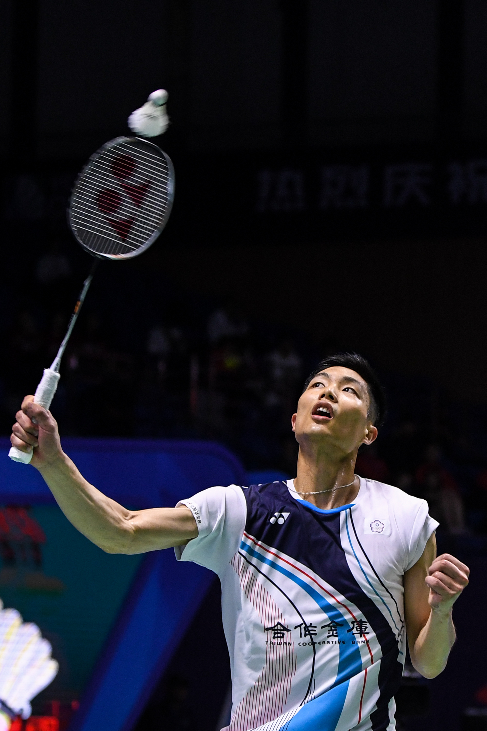 可能成为高 可能成为高