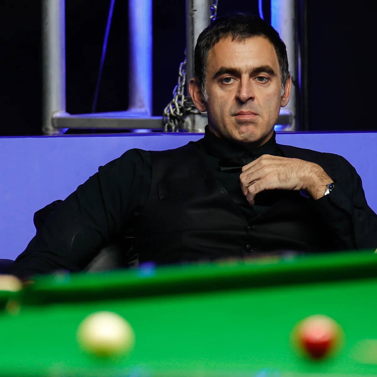 观赏性极强 观赏性极强