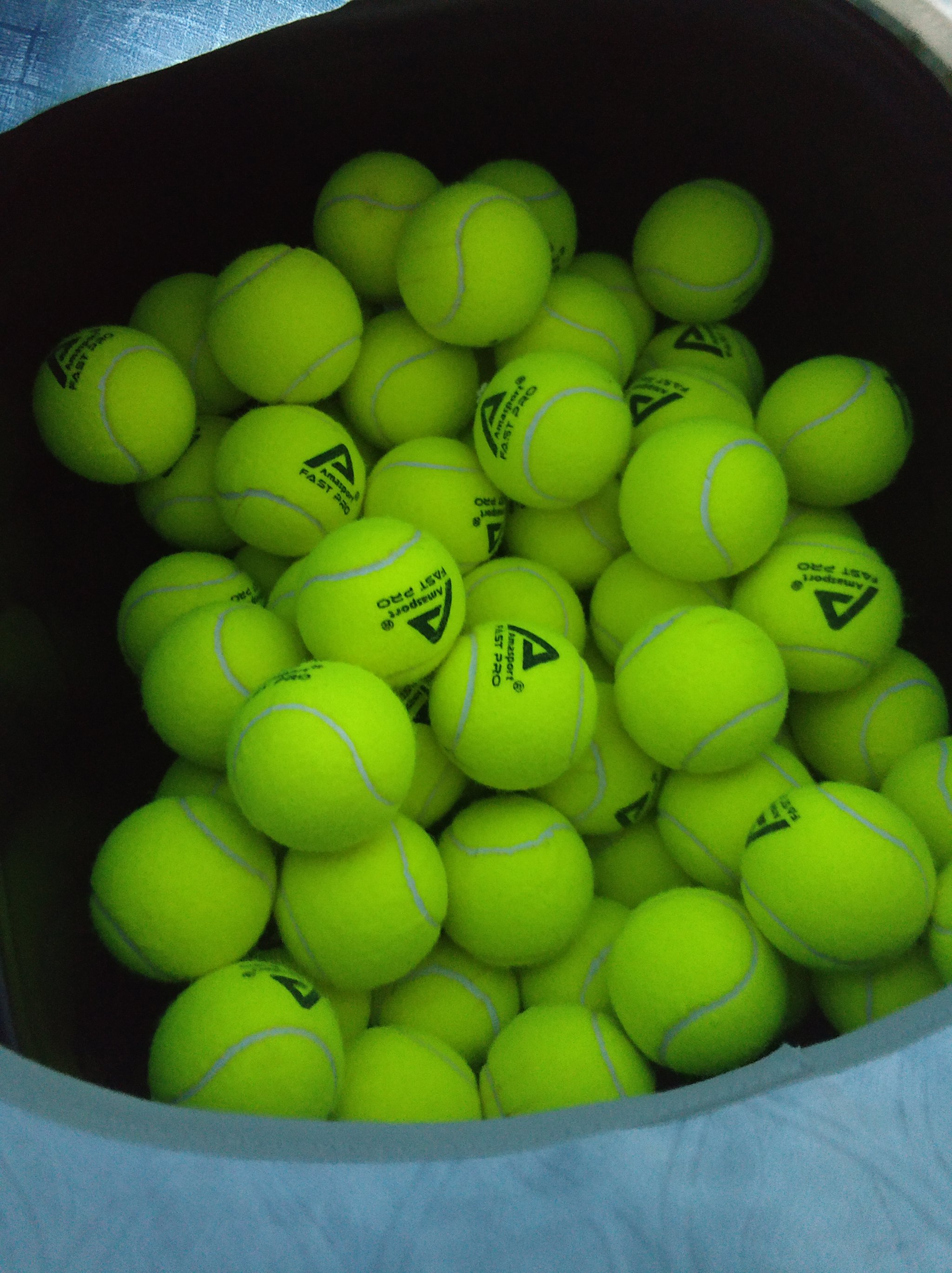 年轻球队马 年轻球队马