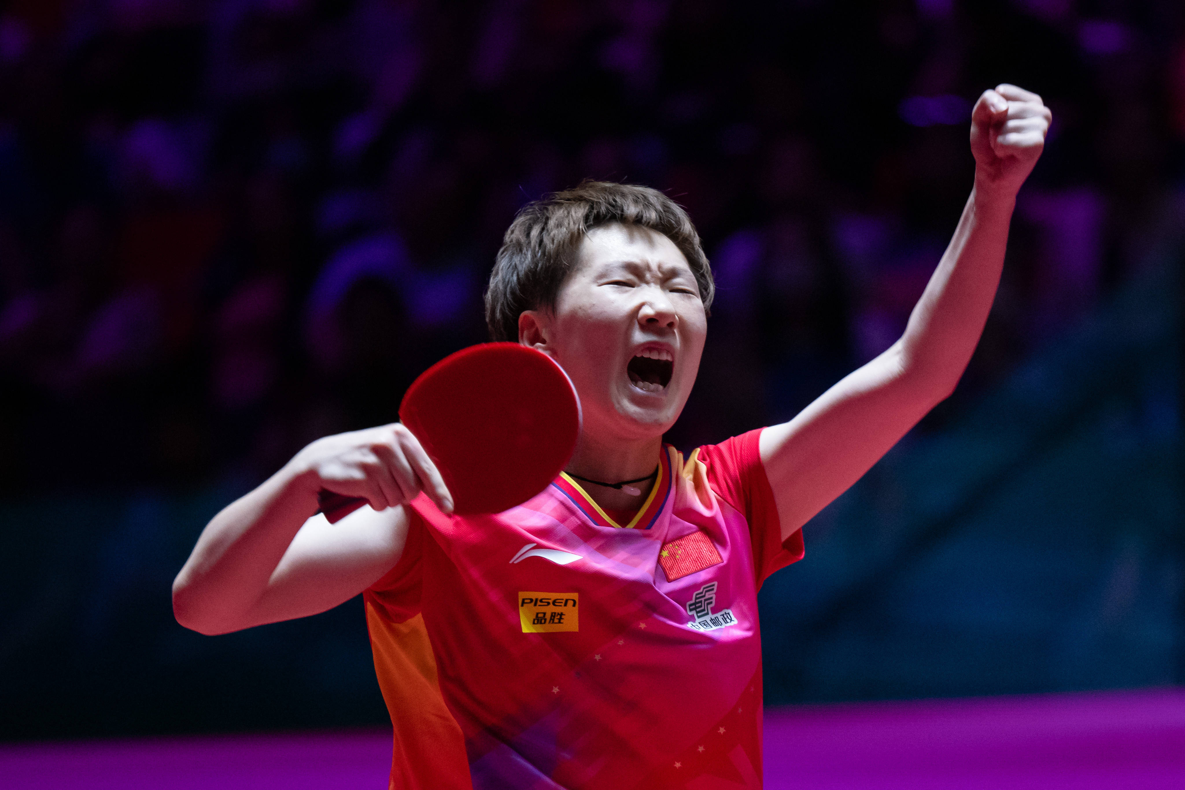 的系列赛里 的系列赛里