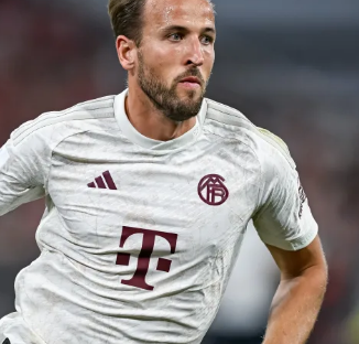 誉上的打击 誉上的打击