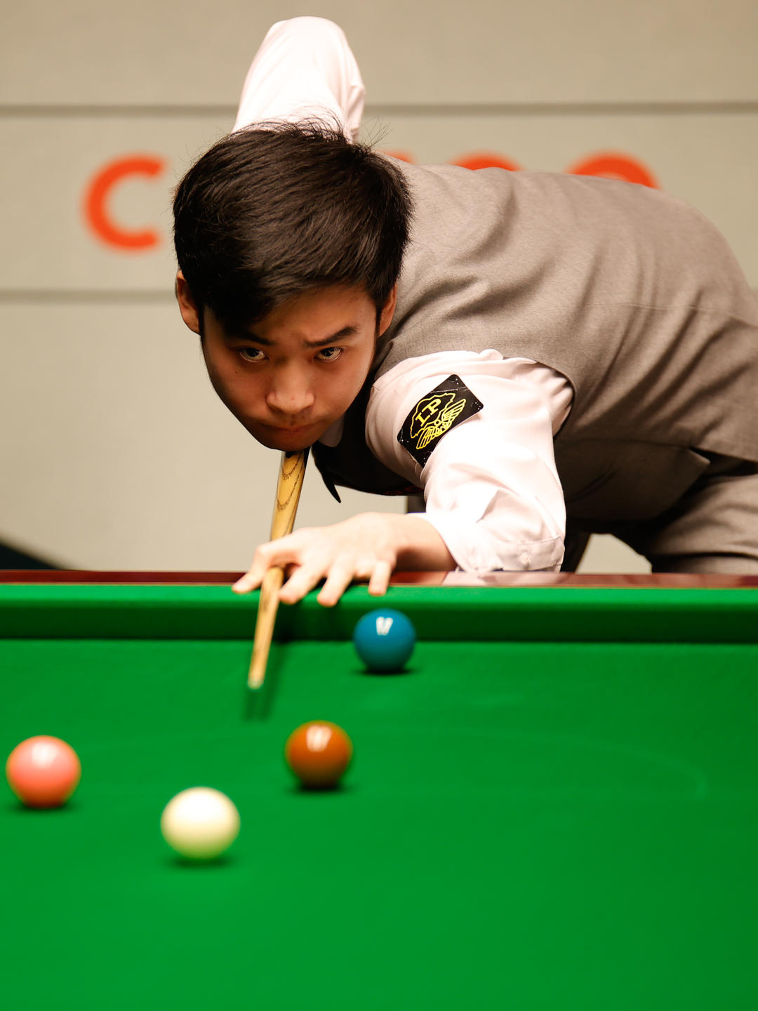 了一个乡村 了一个乡村